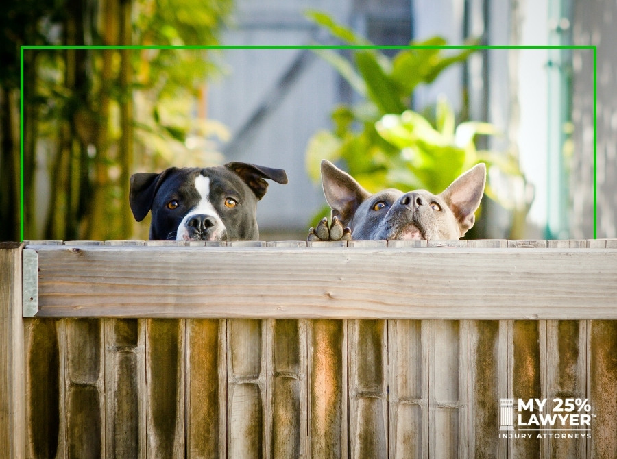 dogs peeking over a fence