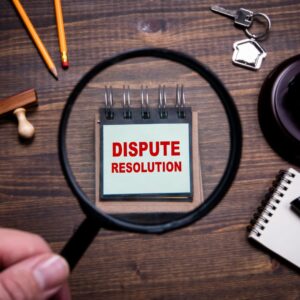 dispute resolution under a magnifying glass